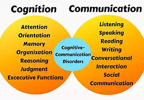 cognition chart showing lists below the titles cognition and communication